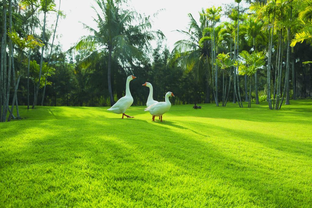 Sanctuary Residential Resort Community 头顿 外观 照片
